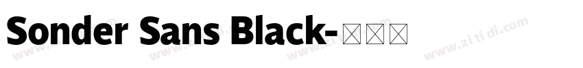 Sonder Sans Black字体转换